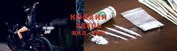 прущие грибы Алексин