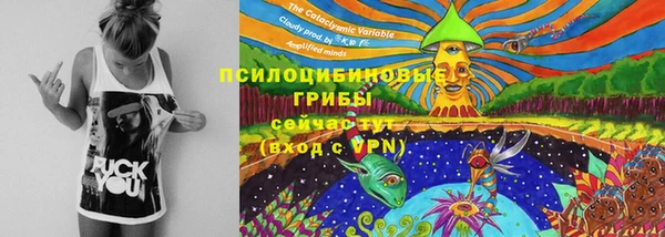 прущие грибы Алексин