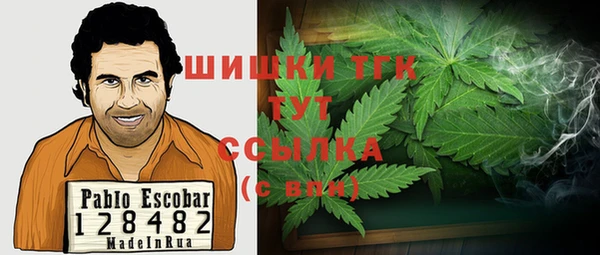прущие грибы Алексин