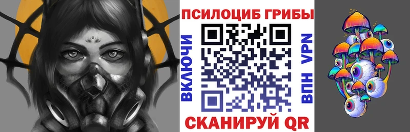 где купить наркоту  Правдинск  Псилоцибиновые грибы ЛСД 
